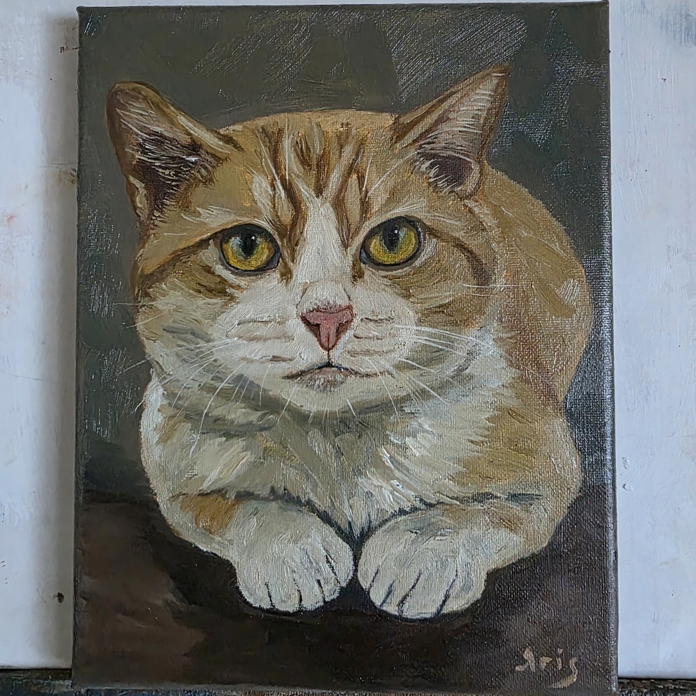 Abstract oil Painting cute Cat